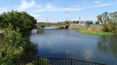 🌳 기타카시와 후루사토 공원 이미지 2